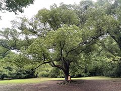 -杭州植物园
