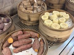 -地中海传奇水汇