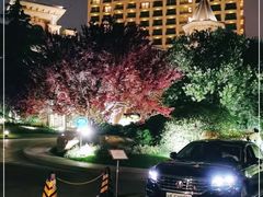 -上海浦东星河湾酒店