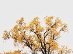 -金堂县云顶石城风景区