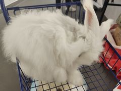 -成都失恋馆