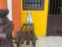 -槟城街头艺术街区