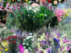 -AEON永旺(东方宝泰店)