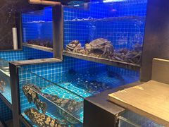 -大鹏饭店·金陵家宴(奥体中心店)