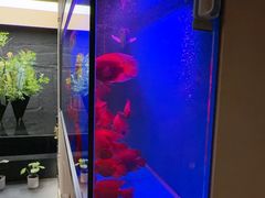 -宫七SPA·高端Massage(浦东大道店)
