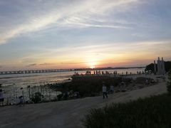 -宝安西湾红树林湿地公园