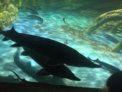 -苏州海洋馆