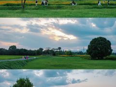 -良渚古城遗址公园