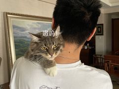 -猫大福·Fortune Cat猫舍(百子湾店)