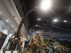 -自贡恐龙博物馆