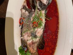 -品悦(崇明凯悦店)