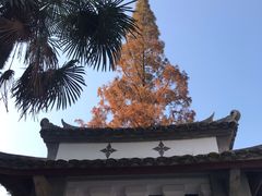 -白鹿洞书院