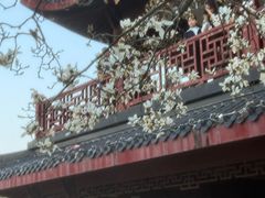 -堤角公园