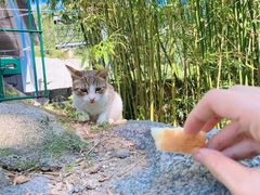 -崂山巨峰游览区