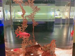 -常州海昌海洋探索馆