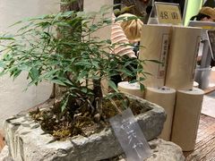 -成川茶店·潮汕工夫浓茶(万象店)