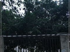 -南京航空航天大学(明故宫校区)