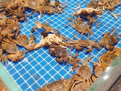 -半岛听涛蒸汽海鲜自助(K11店)