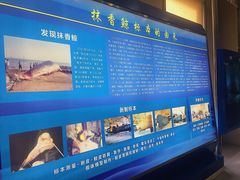 -上海海洋大学鱼文化博物馆(军工路校区)