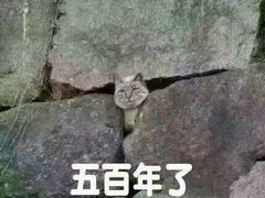-为什么牛潮汕牛肉火锅(中信广场店)