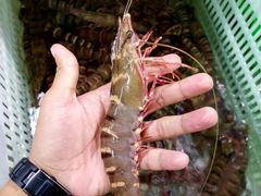 -沙田台山海鲜·酣客酒窖