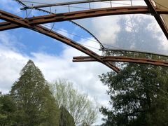 -怀托摩萤火虫洞