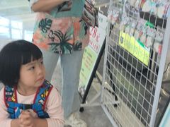 -采椰郎椰子鸡·脆皮鸡火锅(融创茂店)