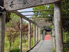 -南汇桃花村