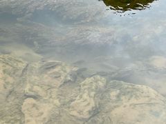 -靖西鹅泉风景区