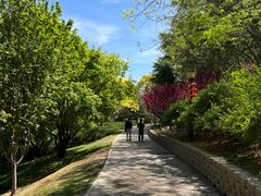 -大望京公园
