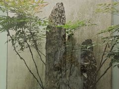 -苏州园林博物馆