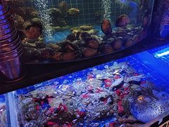 -福禧荟·海鲜自助