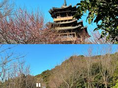 -杭州半山国家森林公园