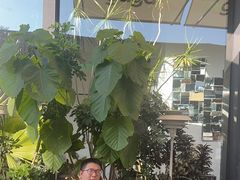 -gaga(深圳南山益田假日广场店)