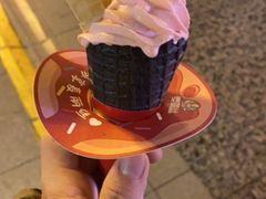 -麦丽丝红油辣椒冰淇淋(江家巷店)
