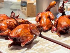 -大鸽饭(体育西路店)