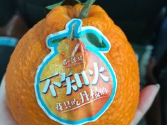 -眉州东坡(远洋未来广场店)