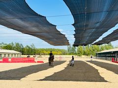 -北京群众马术培训基地