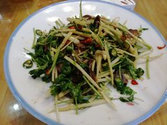 -功夫兔