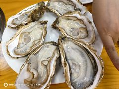 -明姨仔潮汕美食·碳炉猪脚·汕尾牛腩饭·起片鸡煲(起义路店)