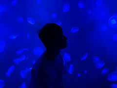 -暹罗海洋世界