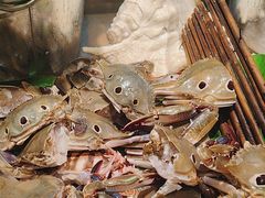 -千滋百味自助海鲜烤肉(布吉景华店)