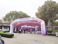 -南汇桃花村