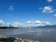 -深圳湾公园(南山区)
