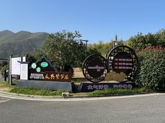 -大唐贡茶院