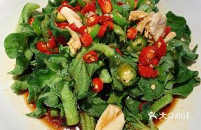 Oil and Vinegar Mixed Ice Plant