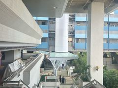 -香港大学