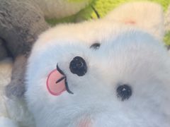 -反斗乐园π·电玩·高空拓展·蹦床(龙华天虹店)