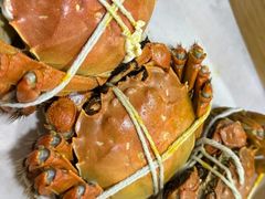 -黄记大闸蟹专卖店·活蟹·醉蟹