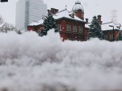 -北海道厅旧本厅舍(旧本庁舎)